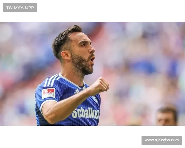 法尔范在沙尔克04的关键角色与他对球队战术及成绩的深远影响